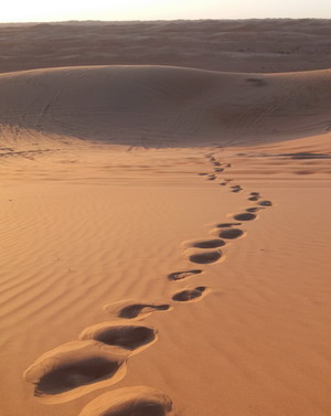 Spuren im Sand